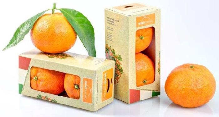 Clementime: la rivoluzionaria startup calabrese che vende le clementine
