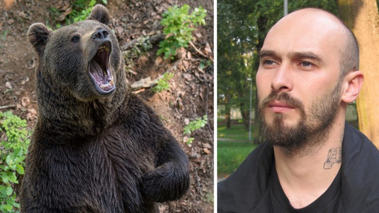 Siberia: stacca la lingua a un orso di 600 kg, italiani si schierano con l’orso