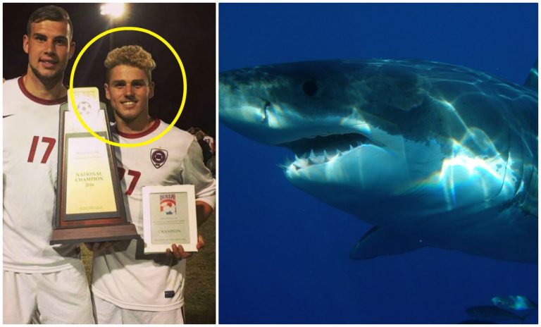 Ritrovato tra gli squali il calciatore scomparso: il suo ultimo post
