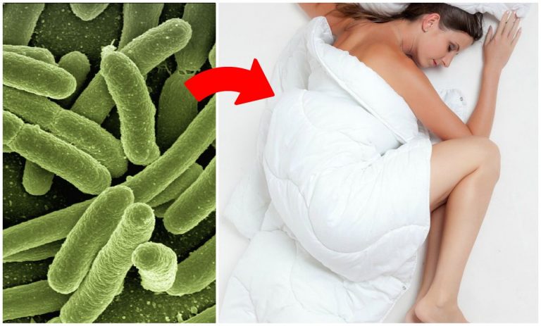 Batteri e funghi, le zone pericolose in casa: lenzuola, pigiami, asciugamani