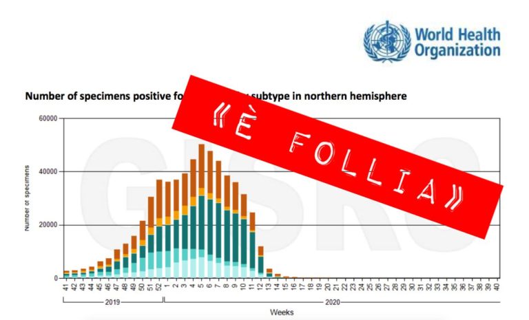 Influenza stagionale, grafico OMS dimostra la “truffa”: «È una follia» Video